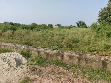 Plot Area in  Plot at Tappal – for Sale