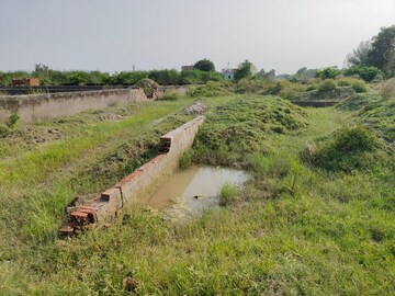 Plot Area in  Plot at Tappal – for Sale