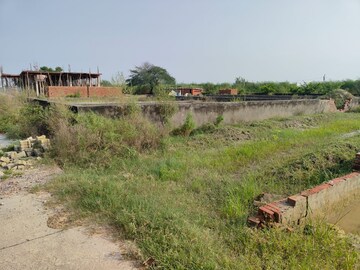 Plot Area in  Plot at Tappal – for Sale