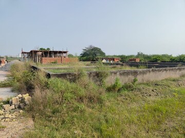 Plot Area in  Plot at Tappal – for Sale