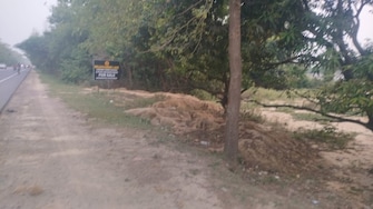 Commercial Land 1530 Sq.Ft. For Resale in Sitapur Road Lucknow  7660489