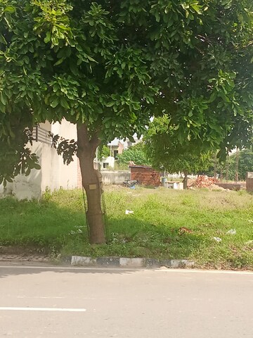 Plot Area in  Plot at Altus Prime, North Mullanpur – for Sale