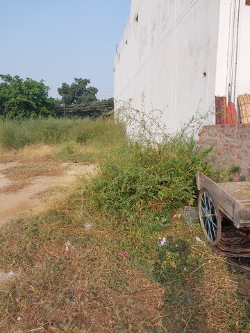 Plot For Resale in Bhai Randhir Singh Nagar Ludhiana  7660872