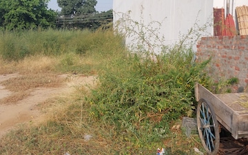 Plot For Sale in Bhai Randhir Singh Nagar