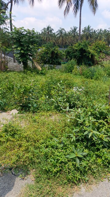 Plot Area in  Plot at Kodipur – for Sale