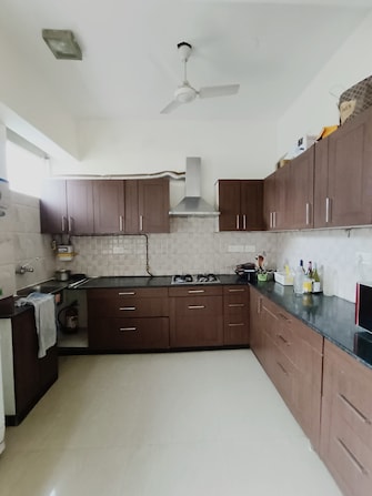 1 BHK Builder Floor For Rent in Green Park Delhi  7661103