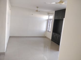 3 BHK Apartment For Rent in Sector 50 Chandigarh  7661140