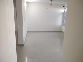 3 BHK Apartment For Rent in Sector 50 Chandigarh  7661140