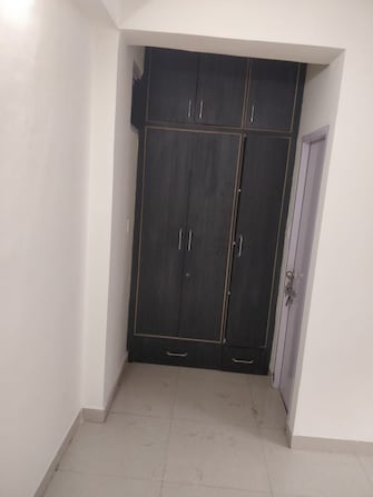 3 BHK Apartment For Rent in Sector 50 Chandigarh  7661140