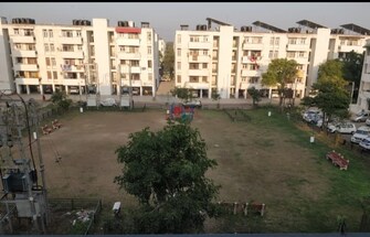 3 BHK Apartment For Rent in Sector 50 Chandigarh  7661140