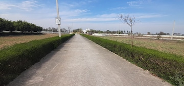 Plot Area in  Plot at Jewar – for Sale