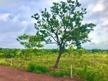  Plot – Garden View at Manneguda - for Sale