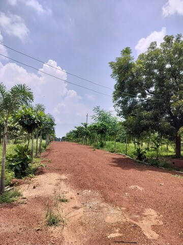 Plot Area in  Plot at Manneguda – for Sale