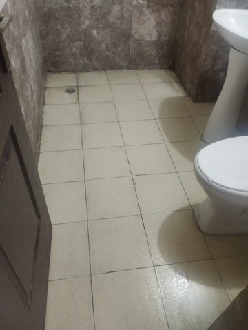 Bathroom in 3 BHK Apartment at Amrapali Silicon City, Sector 76 – for Sale