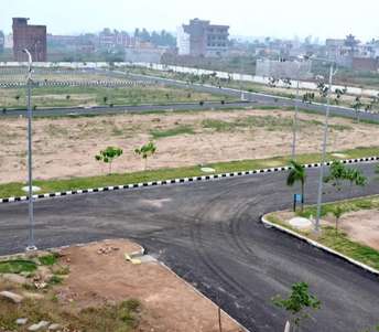 Plot For Resale in Sector 22 Dharuhera  7661598