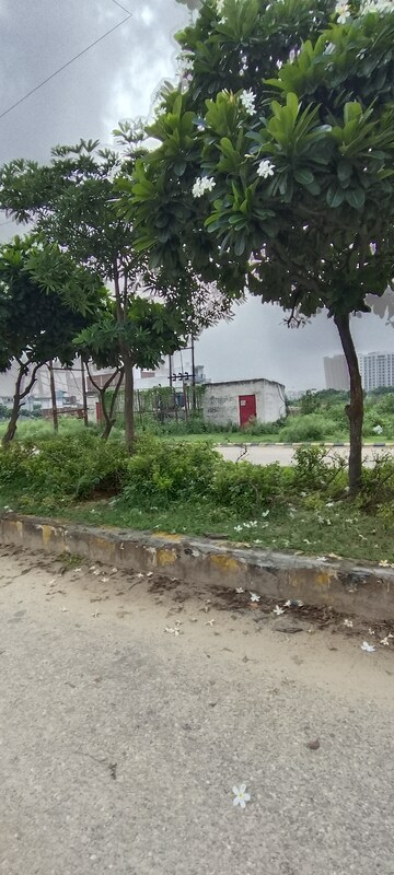  Plot – Exterior View View at Shouryapuram, Shahpur Bamheta - for Sale