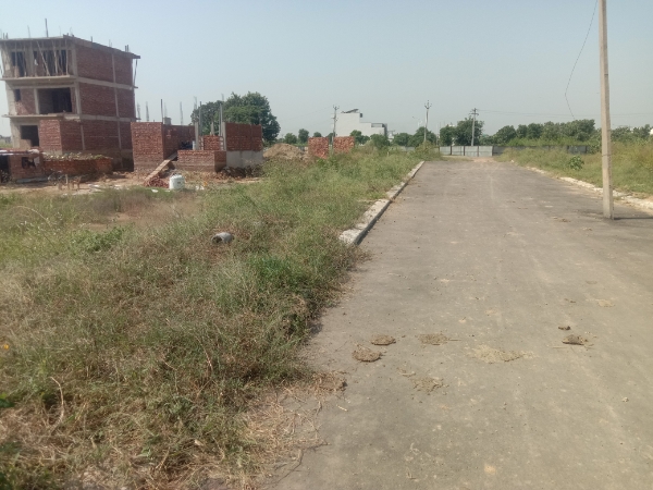 Plot For Resale in Altus Prime North Mullanpur Chandigarh  7661930