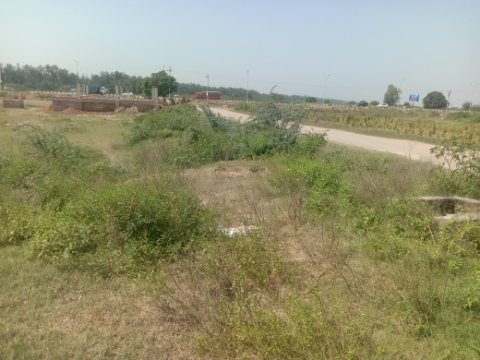 Plot For Resale in Altus Muirwood Ecocity North Kharar Chandigarh  7662040