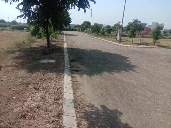 Plot For Resale in Altus Muirwood Ecocity North Kharar Chandigarh  7662113