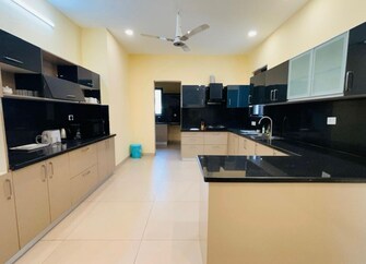 4 BHK Villa For Rent in Mantri Group Mantri Euphoria Narsingi Hyderabad  7662159