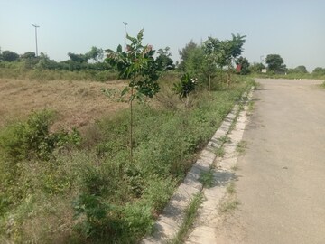 Plot Area in  Plot at Altus Muirwood Ecocity, North Kharar – for Sale