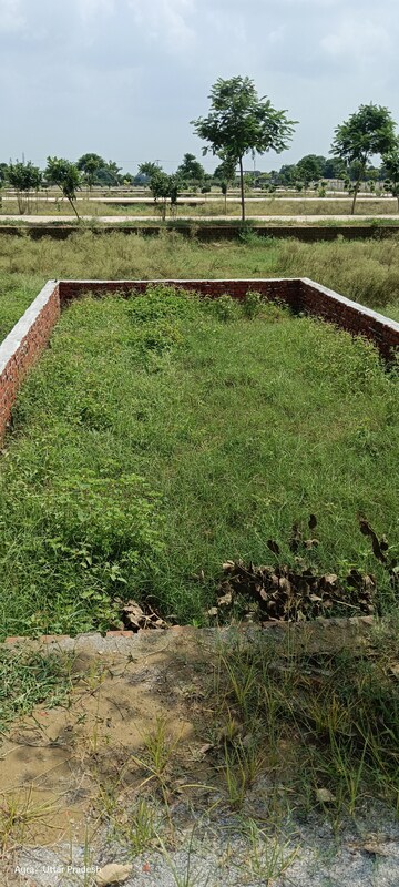 Plot Area in  Plot at Fatehabad Road – for Sale