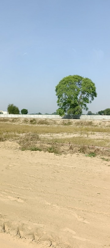 Plot For Resale in Samalkha Panipat  7662398