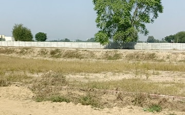 Plot For Sale in Samalkha