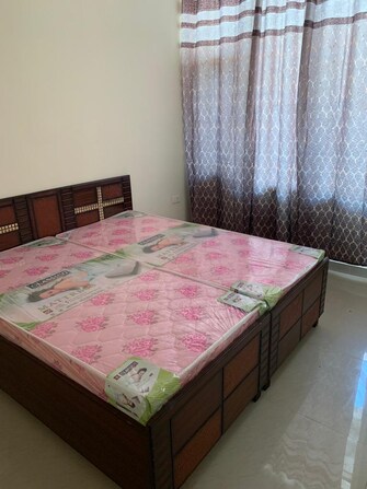 3 BHK Apartment For Rent in KharaR-Kurali Highway Mohali  7662521