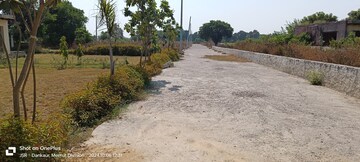 Plot Area in  Plot at Dankaur – for Sale