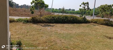 Plot Area in  Plot at Dankaur – for Sale