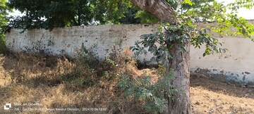 Plot Area in  Plot at Dankaur – for Sale