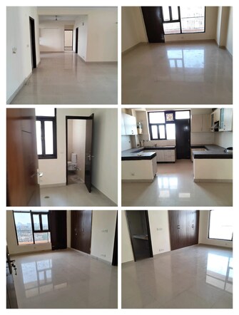 4 BHK Apartment For Rent in The Citizen Apartments Sector 51 Gurgaon  7662943