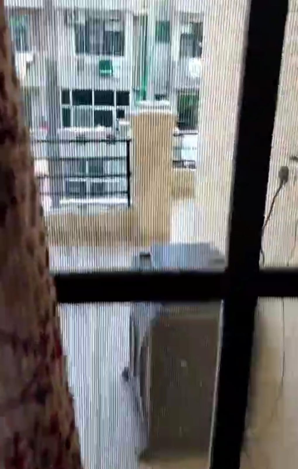 Rental 2 Bedroom 1698 Sq.Ft. Apartment in Surya Towers Zirakpur