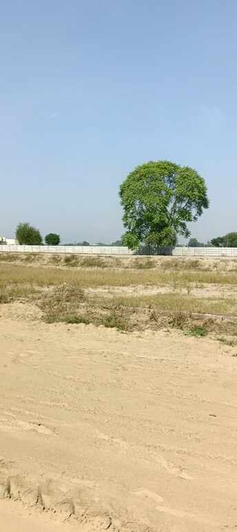 Plot For Resale in Samalkha Panipat  7663264