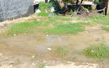 Plot For Sale in Samalkha