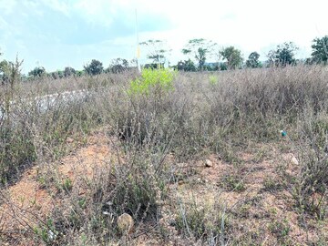 Plot Area in  Plot at BBG True Gold, Shadnagar – for Sale