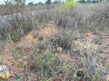 Plot Area in  Plot at BBG True Gold, Shadnagar – for Sale