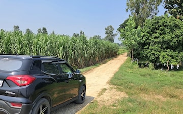 Land For Sale in Gohana Road