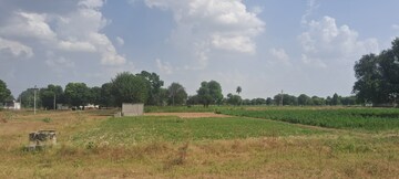  Plot For Sale in Kalwar Road