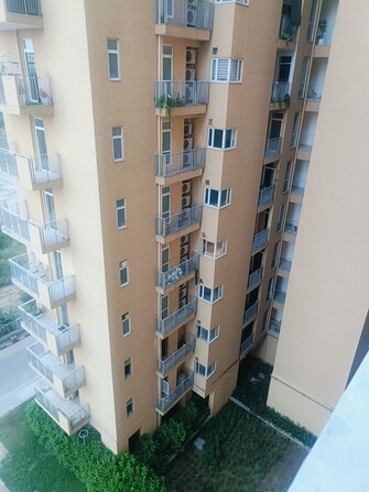 2.5 BHK Apartment For Rent in Ireo The Corridors Sector 67a Gurgaon  7663965