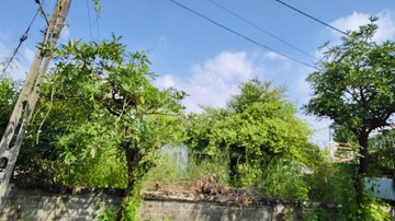  Plot For Sale in Dumas
