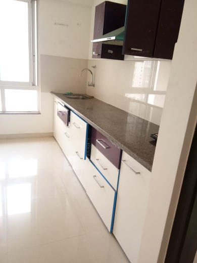 1 BHK Apartment For Rent in Puranik Rumah Bali Ghodbunder Road Thane  7664071