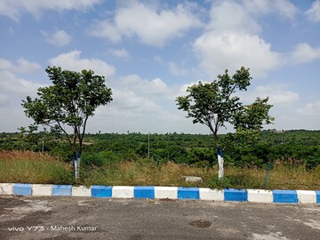  Plot For Sale in Bongloor