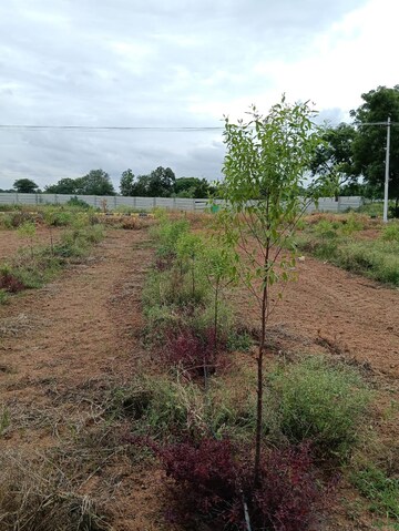  Plot For Sale in Jangaon