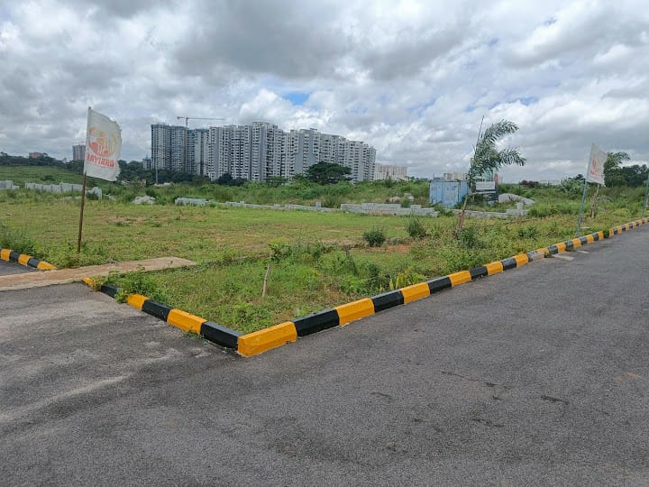 Plot For Resale in Sampangi Rama Nagar Bangalore  7665093