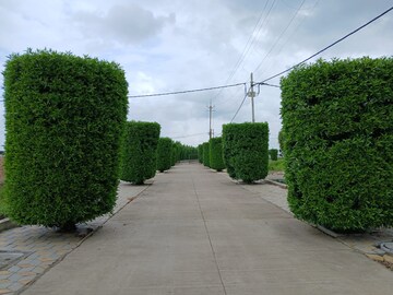  Plot – Garden View at Super Corridor - for Sale