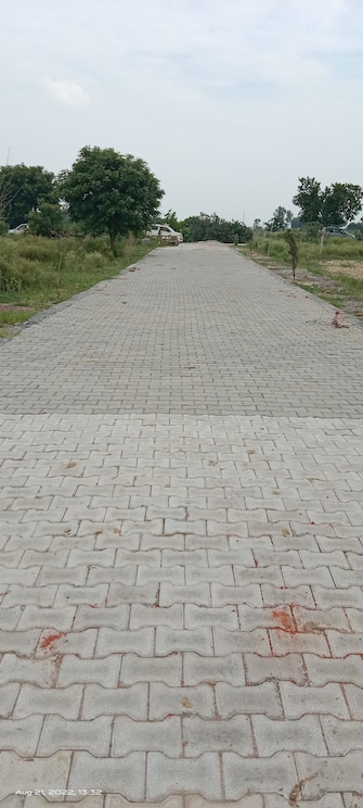 Plot For Resale in Yamuna Expressway Greater Noida  7665386