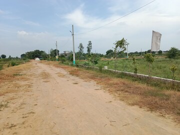 Plot For Resale in Yamuna Expressway Greater Noida  7665415