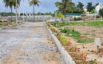 Plot For Sale in Koppa Gate